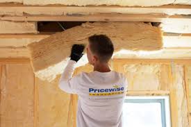 Best Eco-Friendly or Green Insulation Solutions  in Carey, OH